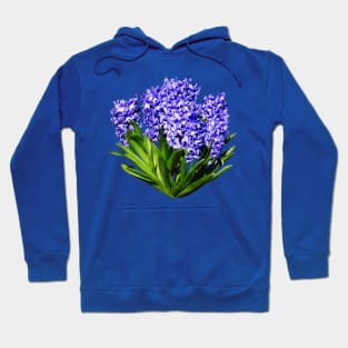 Purple Hyacinths Hoodie